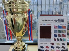 -天猫养车贴膜轻改·蓝电(优匹康桥东路店)