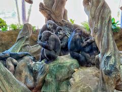 -北京野生动物园