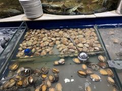 -海天盛宴新派海鲜自助餐厅(群力店)