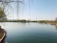 -石家庄市植物园