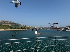 -海驴岛(荣成市)