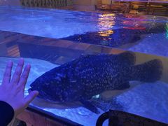 -十六蒲(桂林路店)