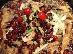 -老板恋上鱼(恒隆广场店)