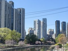 -坝河休闲公园