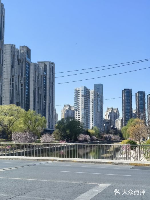 坝河休闲公园图片