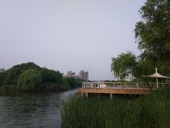 -新江湾城公园