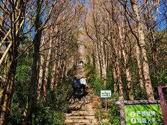 -东白山