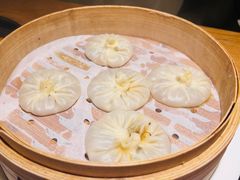 -庆春朴门