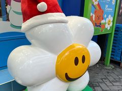 -line friends(明洞旗舰店)