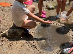 -碓臼峪自然风景区