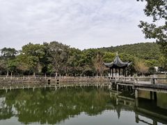 -旺山景区