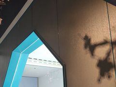 -老板恋上鱼(振华商厦店)