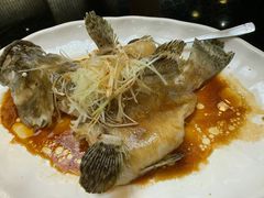 清蒸石斑-东江海鲜酒家(艺都分店)