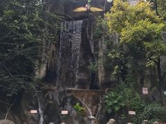 -昆明动物园