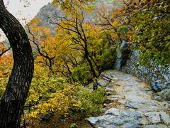 -鹫峰国家森林公园