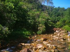 -广州白江湖森林公园