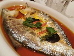 鲥鱼-玫瑰厅上海菜(兴国路店)