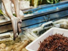 -沈家门海鲜夜排档(东港店)