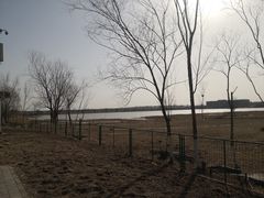 -绿堤公园