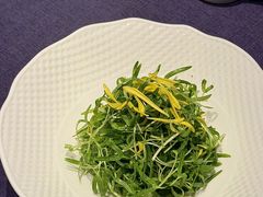 -石泉私宴