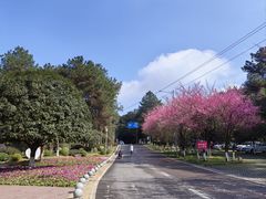 -铁山坪森林公园