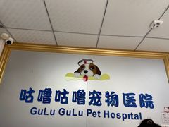 -咕噜咕噜宠物医院·CT·肿瘤科·骨科(前海院)