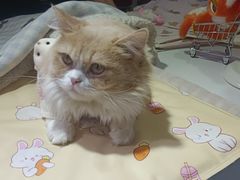 -杭州湖滨in77