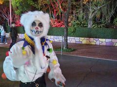 -厦门方特梦幻王国