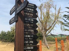 -羊亭河湿地公园