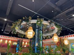 -龙泉人椰子鸡(龙昆南总店)