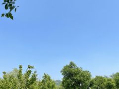 -永定河休闲森林公园