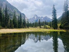 -白马王朗自然风景区