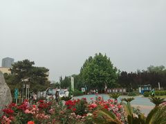 -太阳宫公园