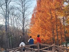 -白水寺森林公园