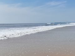 -日照海滨国家森林公园