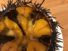 -海胆小馆(东北水饺·春柳店)