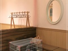 -猫猫幼稚园·撸猫·桌游·电玩