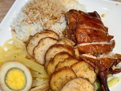 -宋记港式烧鹅(星火路店)