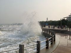 -日照灯塔风景区