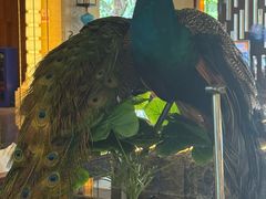 -西双版纳融创皇冠假日度假酒店