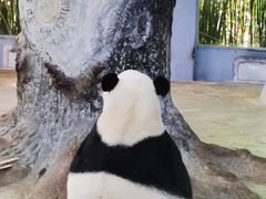 -海南热带野生动植物园
