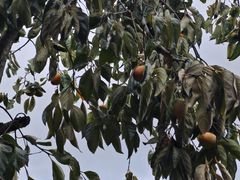 -水上乐园·欢乐世界