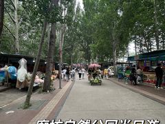 -廊坊市自然公园