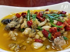 -盛记顺德高佬猪杂粥