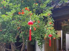 -鲤院·新中式美学·庭院餐厅(夫子庙店)