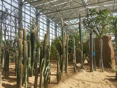 -祥源·阜阳生态乐园