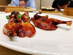 -香港百合居(LCM置汇旭辉广场店)