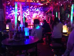 -周庄红庭演艺酒吧