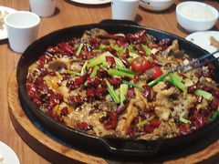 -老板恋上鱼(恒隆广场店)