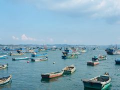 -海源公园